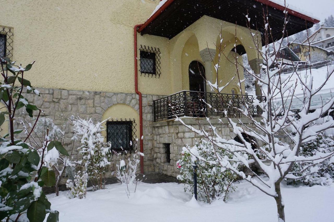Vila Leonida Hotel Buşteni Exterior foto